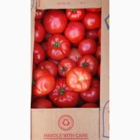 Tomatoes