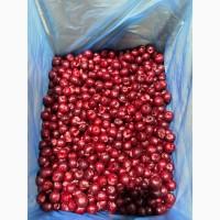 Продами вишню садову (фермерську)