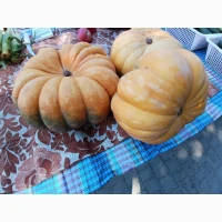 Продам солодкий кабак