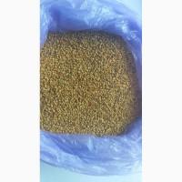 Пыльца пчелиная оптом от 2 кг