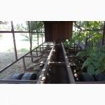 Прицеп для пчел