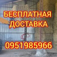 Сено, люцерна, солома, разнотравье. Возможна оплата по б/н