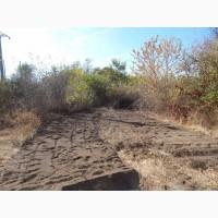 Послуга корчування старих садів