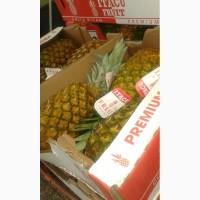 Куплю оптом