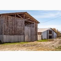 Продажа Целостно-имущественного комплекса по производству животноводческой продукции