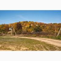 Продажа Целостно-имущественного комплекса по производству животноводческой продукции