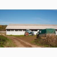 Продажа Целостно-имущественного комплекса по производству животноводческой продукции