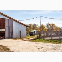 Продажа Целостно-имущественного комплекса по производству животноводческой продукции