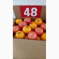 Продам апельсин новел