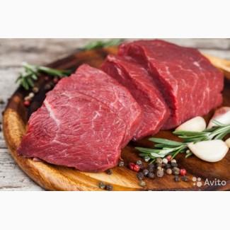 Мясо говядина Тушенки