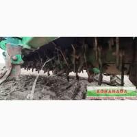 Картофелесажалка MIEDEMA CP420