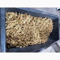 Грецкий горіх закуп