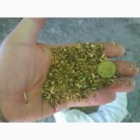 Куплю махорку САМОСАД оптом ДОРОГО