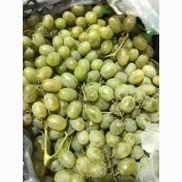 Продам виноград оптом