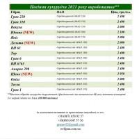 Насіння від виробника IMI, SU, Класичні нібриди соняшника та кукурудзи ФАО від 200 до 400