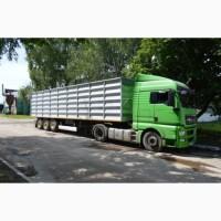Зерновоз услуги аренда зерновоза Луцк перевозка зерновых КамАЗ еврозерновоз сцепка