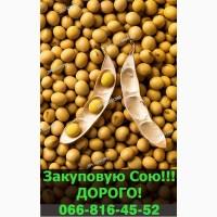 Закуповую СОЮ великим оптом!Під контракт!Оплата на вагах
