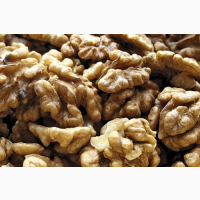 Куплю чищений волоський горіх від 500кг