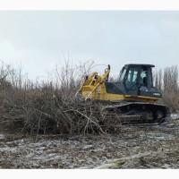 Послуги з корчування пнів, розкорчування ділянки