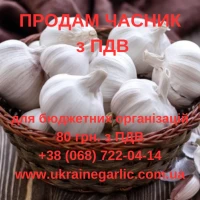 Продам часник з ПДВ для бюджетний організацій