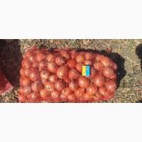 Продам овощи от поставщика