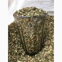 Махорочка домашня, тютюн