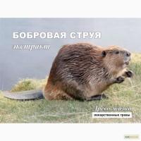 Бобровая струя