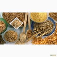 Продажа и переработка круп