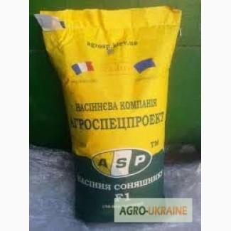 Семена подсолнечника Жалон, Euralis Semenses (Франция)