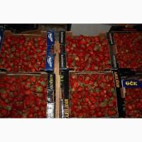 Продам саженцы клубники Гигантелла