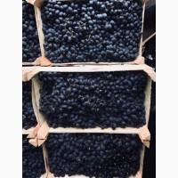 Продам виноград, опт з холодильника