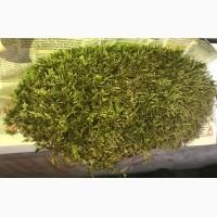 Закупаемо сушені лікарські трави дрібним оптом, Полтавська обл