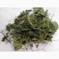 Закупаемо сушені лікарські трави дрібним оптом, Полтавська обл