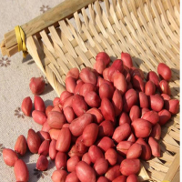 Peanuts