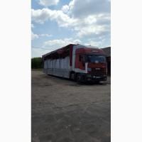 Пеллеты от производителя (сосна) А1plus, 11000грн/т