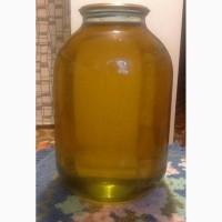 Продам мед подсолнуха 4тони по 40грн./кг