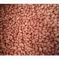Cheap Peanut for sale