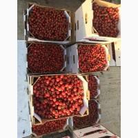 Продам черешню Киев