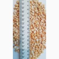 Продам крупу горох шліфований колотий