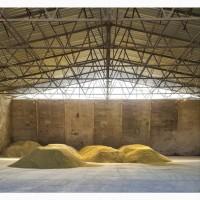 Жмых кукурузы/макуха