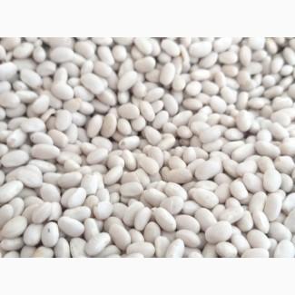 Квасоля сортова з доставкою по Україні (в асортименті)