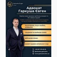 Адвокат із питань аліментів та розлучень