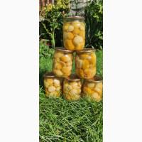 Продам білі мариновані гриби та сушені