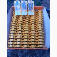 Матки Карпатка та Карніка