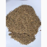 Продам коріандр