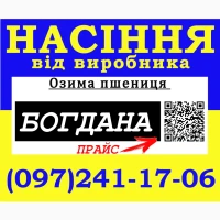 Озима пшениця Богдана (еліта) 2026. Насіння від виробника