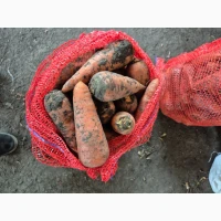 Продам моркву