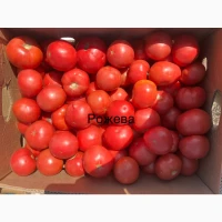 Продам круглу помідору рожева, помаранчева, червона