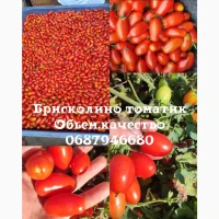 Продам томат Брисколино пальчик