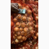 Продам товарну Цибулю